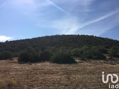 Land  in Loulé (São Sebastião)