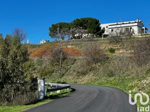 Farm  at Freixo de Numão