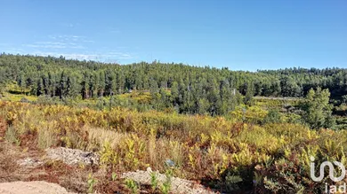 Terreno  em Vila Facaia