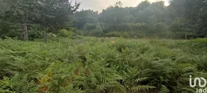 Terreno  em Lavradas