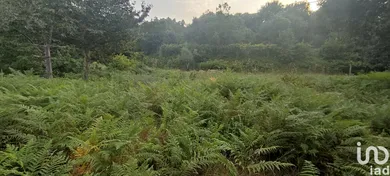 Terreno  em Lavradas