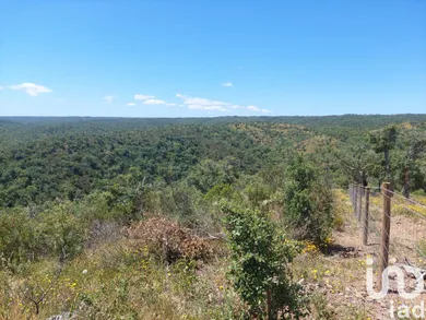 Land  in Melides