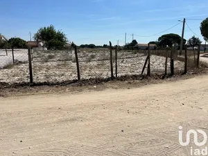 Farm land at Grândola e Santa Margarida da Serra
