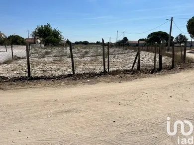 Farm land at Grândola e Santa Margarida da Serra