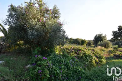 Terreno urbano  em Areias e Pias