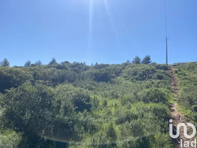 Terreno  em Alcabideche