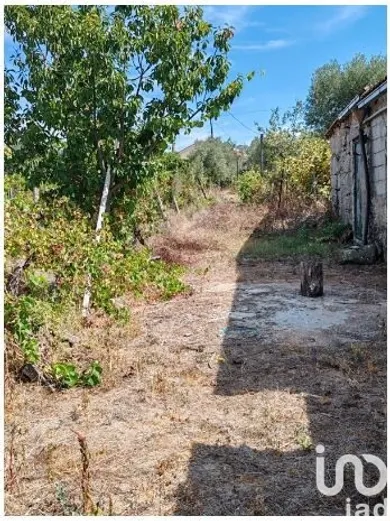 Terrain agricole   à Seixo da Beira