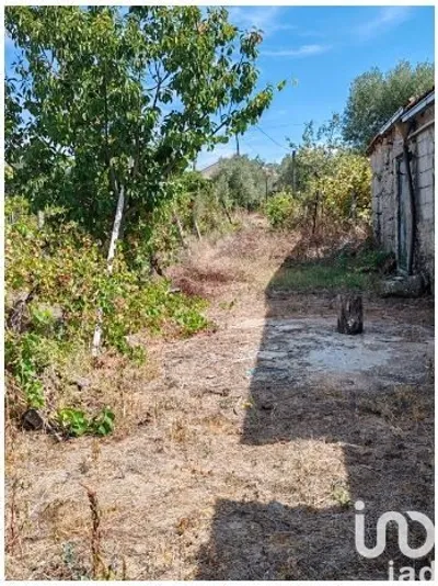 Fotografia 3 de Terreno rústico de 2538 m² em Seixo da Beira
