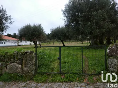 Land at Açores e Velosa