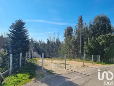 Terreno em Poiares (Santo André)