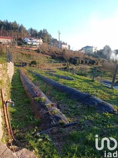 Ferme  à Sever do vouga
