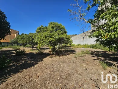 Terreno  em Palmela