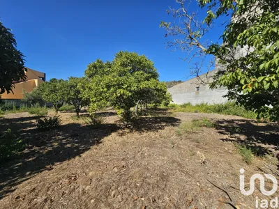 Fotografia 3 de Terreno de 1590 m² em Palmela