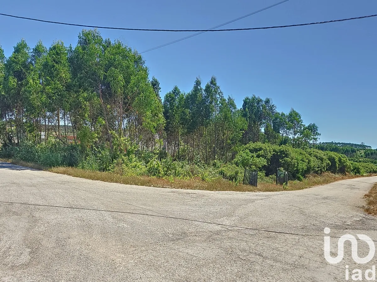Terreno de 2120 m² em Lourinhã e Atalaia