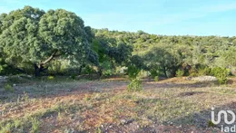 Land in Santa Bárbara de Nexe