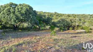 Land  at Santa Bárbara de Nexe