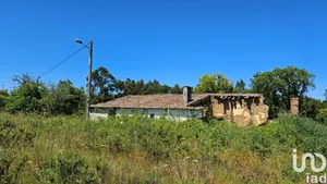 Farm at São Teotónio