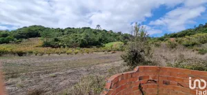 Terreno  em Azueira e Sobral da Abelheira