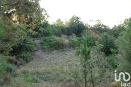 Land  in Nogueira do Cravo