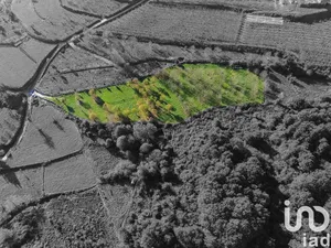 Terrain  à Mões