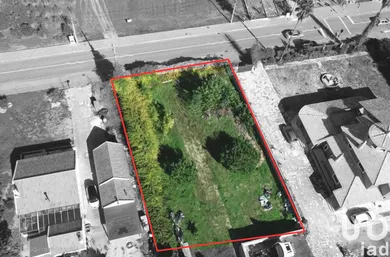 Land at Salvaterra de Magos e Foros de Salvaterra