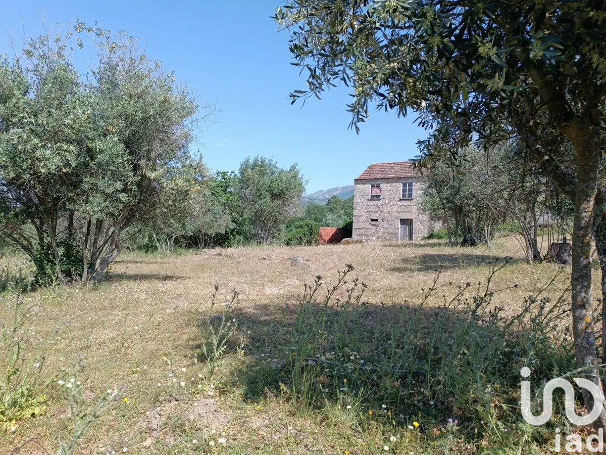 Terreno de 11 200 m² em Moimenta da Serra e Vinhó