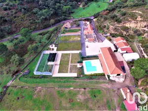 Farm at Chamusca e Pinheiro Grande
