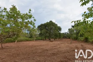Terreno  em Areias e Pias