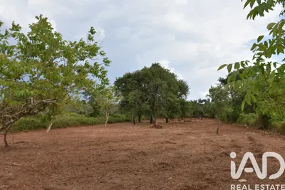 Fotografia 1 de Terreno de 1850 m² em Areias e Pias