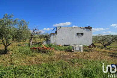 Herdade  em São João Baptista