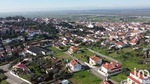 Land at Chamusca e Pinheiro Grande