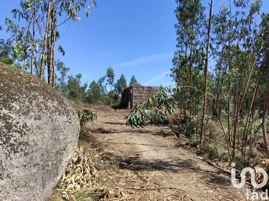 Ferme  à Vila Boa de Quires e Maureles