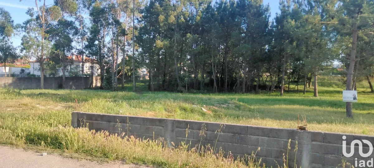 Terreno de 6360 m² em Porto de Mós - São João Baptista e São Pedro