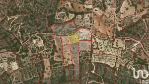 Terreno em Santa Bárbara de Nexe