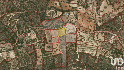 Fotografia 4 de Terreno de 459 m² em Conceição e Estoi