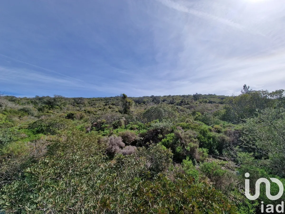 Terreno de 7320 m² em Santa Bárbara de Nexe