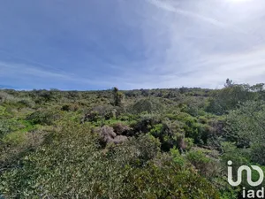 Land at Santa Bárbara de Nexe
