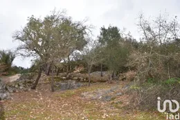 Terrain à Chãos