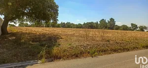 Terrain à batir  à Coruche, Fajarda e Erra