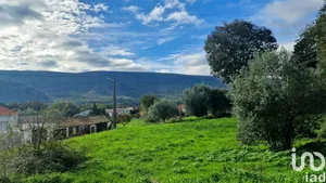 Land at Alvados e Alcaria