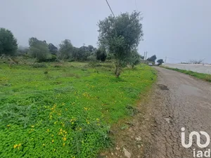 Land  at São Brás de Alportel