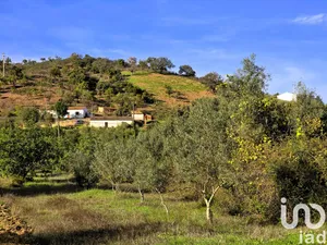 House at São Bartolomeu de Messines
