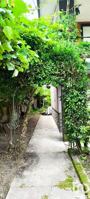 Casa/Moradia  em São Miguel do Souto e Mosteirô