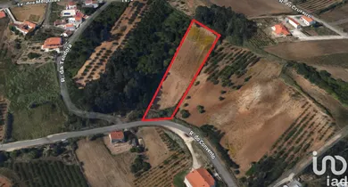 Terrain  à Salir de Matos