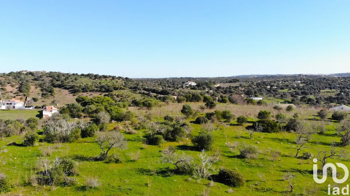 Terreno de 6000 m² em Barão de São Miguel