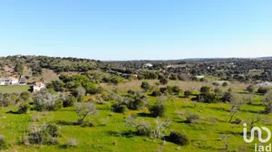 Campground  at Barão de São Miguel