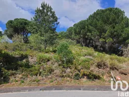Land  in Nossa Senhora da Piedade