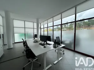 Loja / Estabelecimento Comercial em Tábua