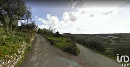 Land in Degracias e Pombalinho