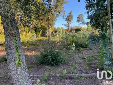 Terreno  em São Félix da Marinha